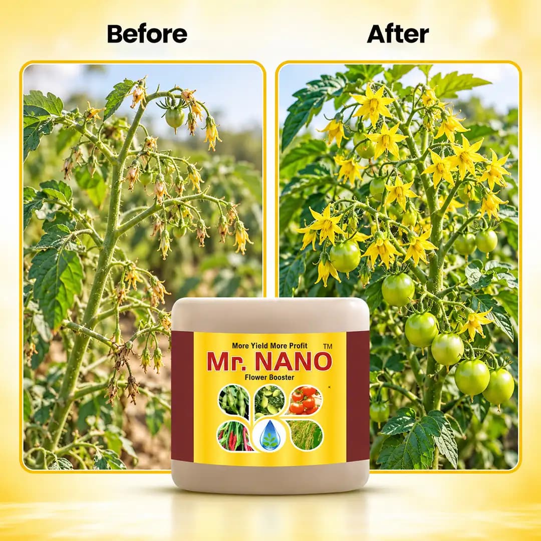 Bhumi Mr. Nano (Jasmonic Acid 1%) Nano Technology Based Flower Booster, Increases The Number Of Flowers In Crops & Also Reduces Flower Fall - Image 5