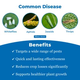 Sumitomo Lano Pyriproxyfen 10% SC Insecticides, Pyridine-Based Pesticide Used Against Variety Of Arthropoda. 3