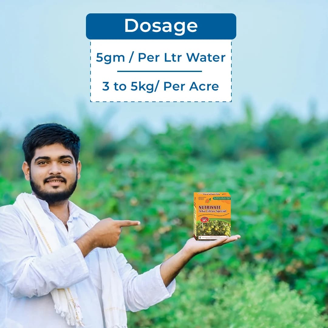 Greenovate Nutrivate Arka Citrus Special, Mix Micronutrients (Zinc, Ferrous, Boron, Manganese, Copper, Magnesium, Molybdenum & Other) - Image 5