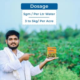 Greenovate Nutrivate Arka Citrus Special, Mix Micronutrients (Zinc, Ferrous, Boron, Manganese, Copper, Magnesium, Molybdenum & Other) 5