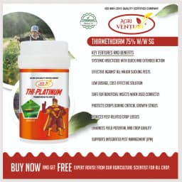 Agriventure THI-PLATINUM Thiamethoxam 75% SG Insecticide, Protection Against Major Sucking Pests 3