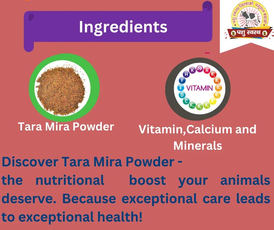 PASHU SVASTH TARA MIRA POWDER, Effective For Milk Production And Fat Increase In Dairy Cattle - Image 4