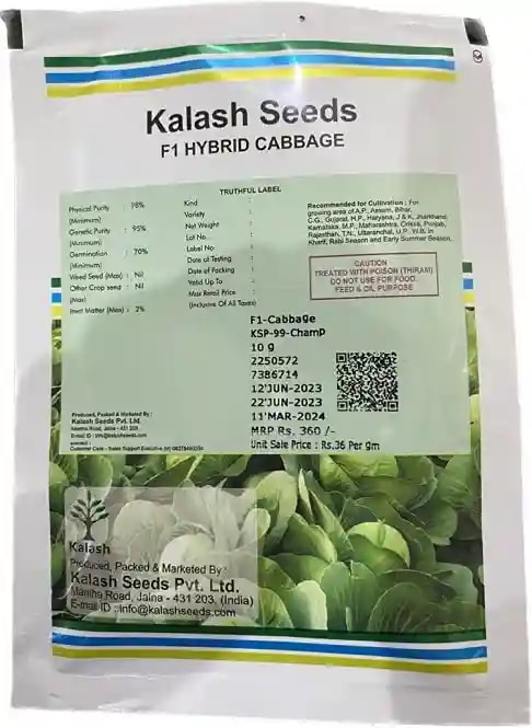 Kalash Champ Cabbage Hybrid Seeds, Specially Recommended For Sowing In Summer And Rainy Season
