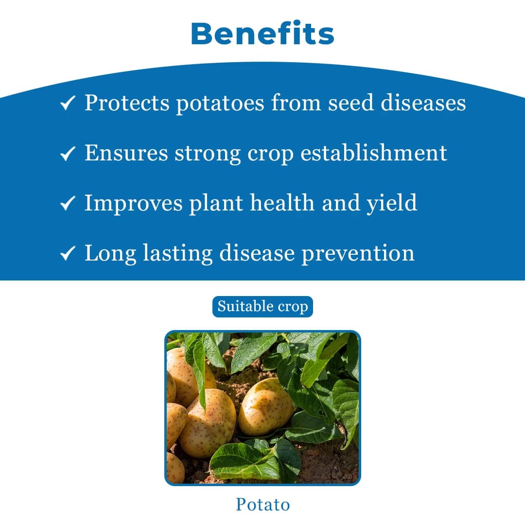Bayer Emesto Prime Penflufen 240 FS Novel Fungicide for Potato Seed Treatment - Image 4