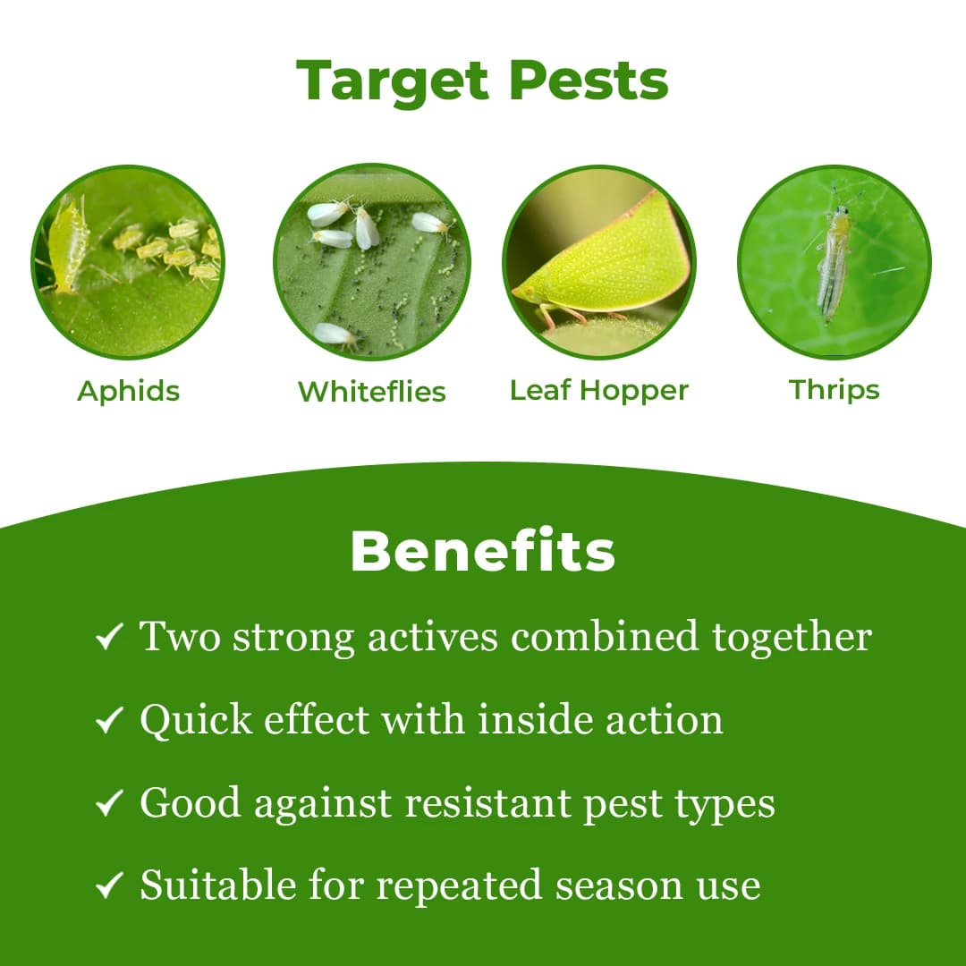 EBS Aura+ Insecticide - Image 4