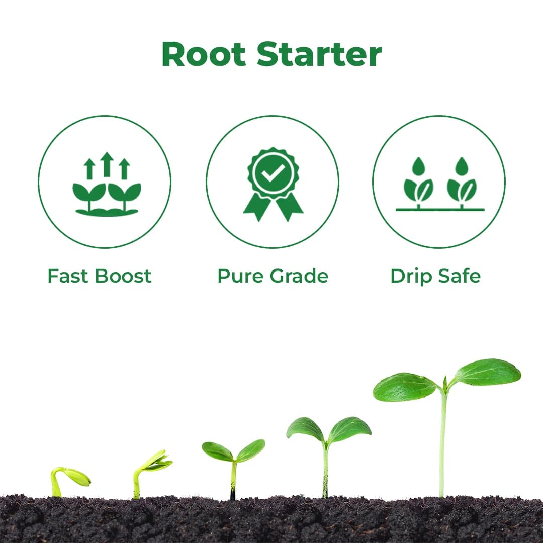 EBS NPK 12:61:00 (Mono Ammonium Phosphate) Water Soluble Fertilizer, Promotes Root And Faster Vegetative Growth - Image 3