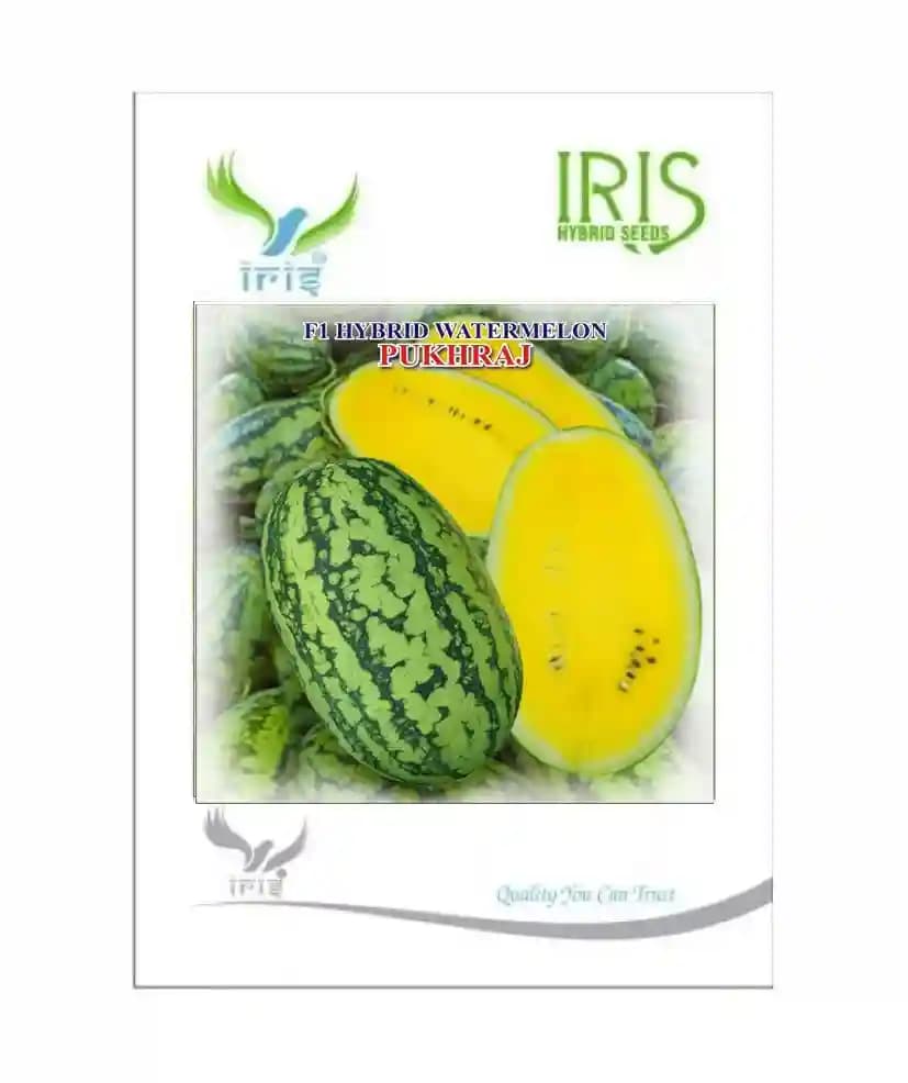 Iris Hybrid Fruit Seeds F1 Hybrid Watermelon Pukhraj - Sugar Baby Type Dark Green Color - Image 2
