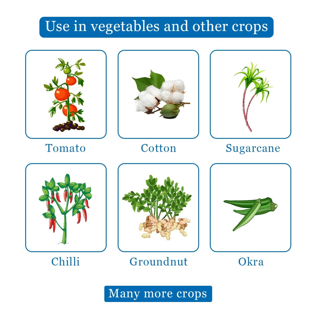 Katyayani Imd 178 Imidacloprid 17.8% SL for All Plants & Home Garden, Quick Action Insecticide. - Image 4