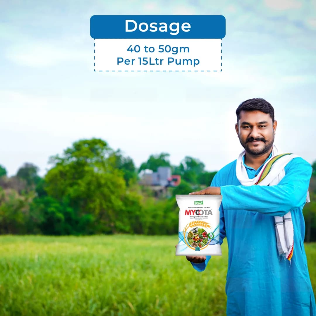 बीएसीएफ मायकोटा - ब्लूवेरिया बसियाना 1.15% डब्लूपी. जैव रसायन, इल्ली, ग्रब्स, सफ़ेद मक्खी के लिए उपयुक्त. - Image 5