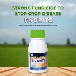 SML Hybritz Azoxystrobin 18.2% and Difenoconazole 11.4% SC Fungicide for Comprehensive Disease Control 2