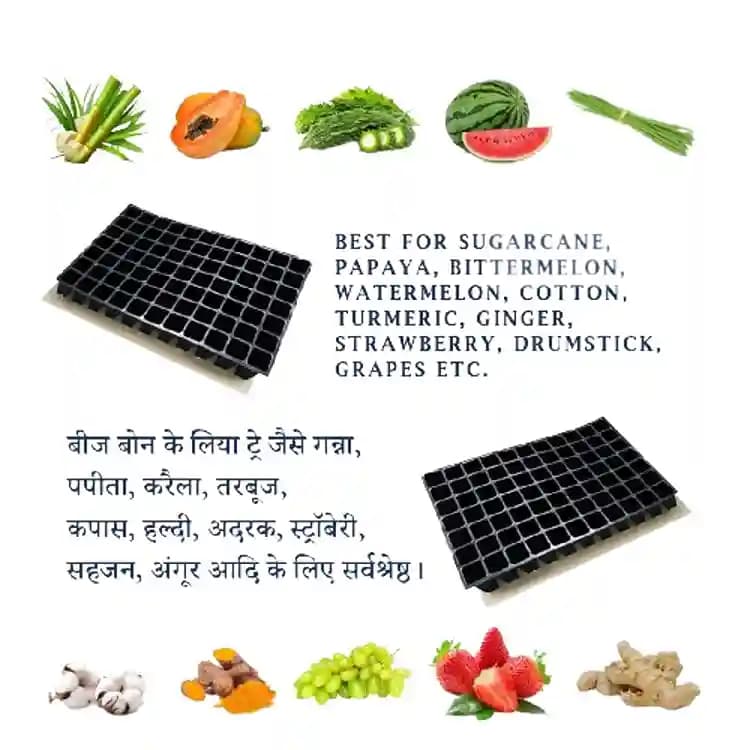 Shivsuraj 60 Cavity Seedling Tray Square Shape Hole Germination Tray, Nursery Tray For Sowing Seeds - Image 5