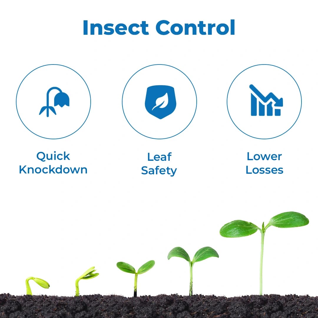 EBS DEL-11 Insecticide - Image 3