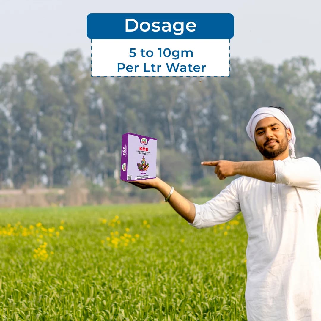 ईबीएस केएमबी, पोटाश मोबिलाइजिंग जीवाणु 5x108 सीएफयू जैव उर्वरक, पौधों, फसलों और घर के बगीचे के लिए उपयोगी. - Image 5