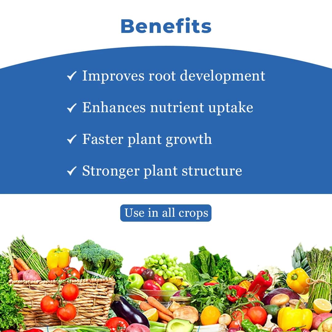 Coromandel Fantac Plus Plant Growth Promoter, Enriched with Amino Acids, Vitamins and Proteins. - Image 4