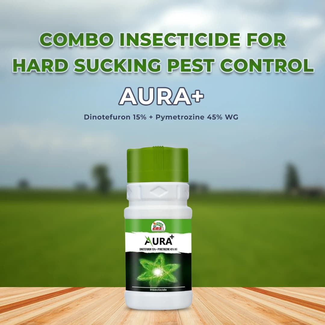 EBS Aura+ Insecticide - Image 3