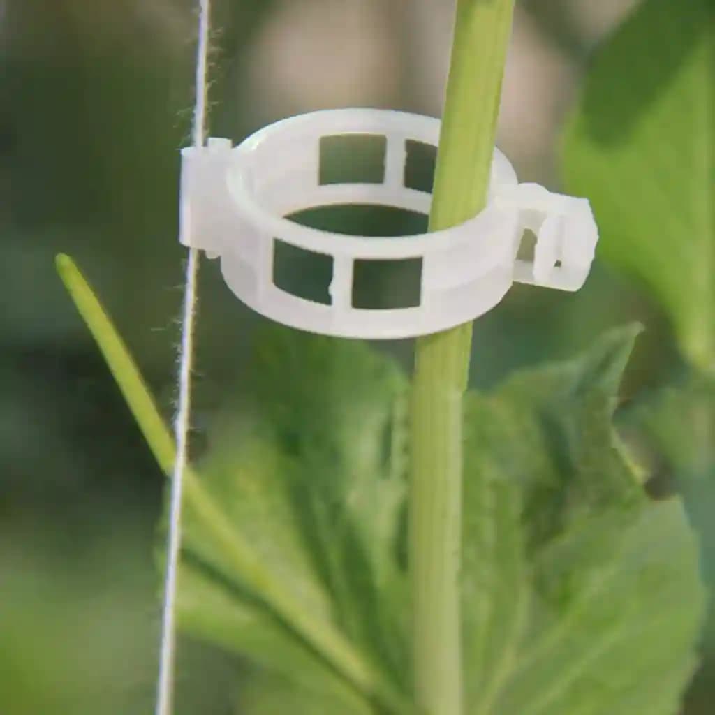 Siddhi Plastic Garden Plant Support Clips, Tomato Clips for Tomato Cucumber Flower Squash Vine to Make Garden Vegetables Grow Healthy - Image 2