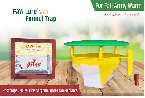 Funnel Trap With FAW (Fall Army Worm or Spodoptera frugiperda Pheromone Lure) for Maize, Rice, Sugarcane and Other Crops.