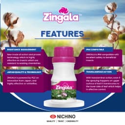 Nichino Zingala Pyrifluquinazon 20% WG Insecticide, Effective Control Whitefly In Cotton Crop 2