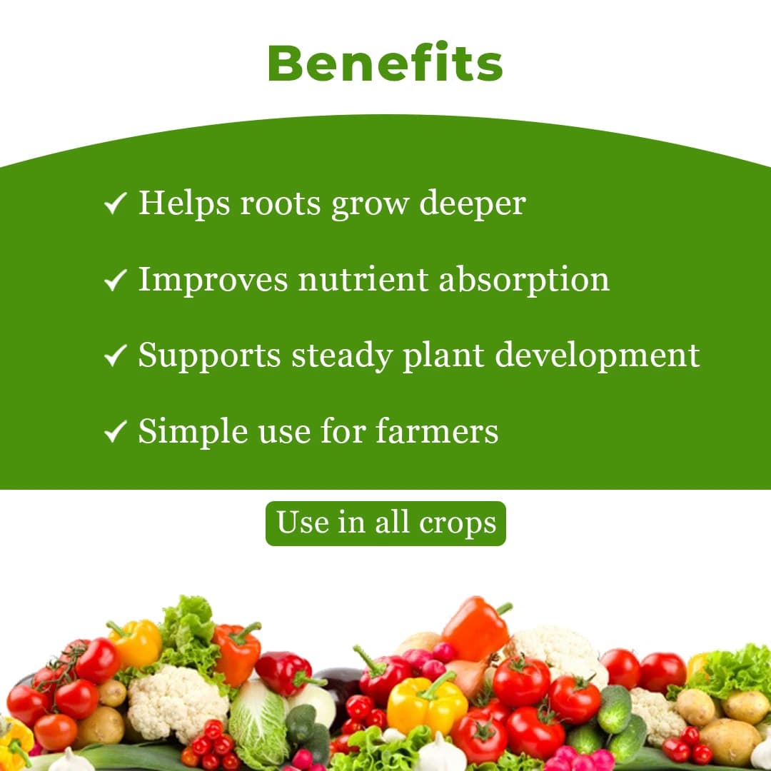 EBS VAM Bio Fertilizer (Vesicular Arbuscular Mycorrhizal), Use To Improve Soil Fertility In Your Farm & Garden - Image 4