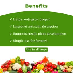 EBS VAM Bio Fertilizer (Vesicular Arbuscular Mycorrhizal), Use To Improve Soil Fertility In Your Farm & Garden 4