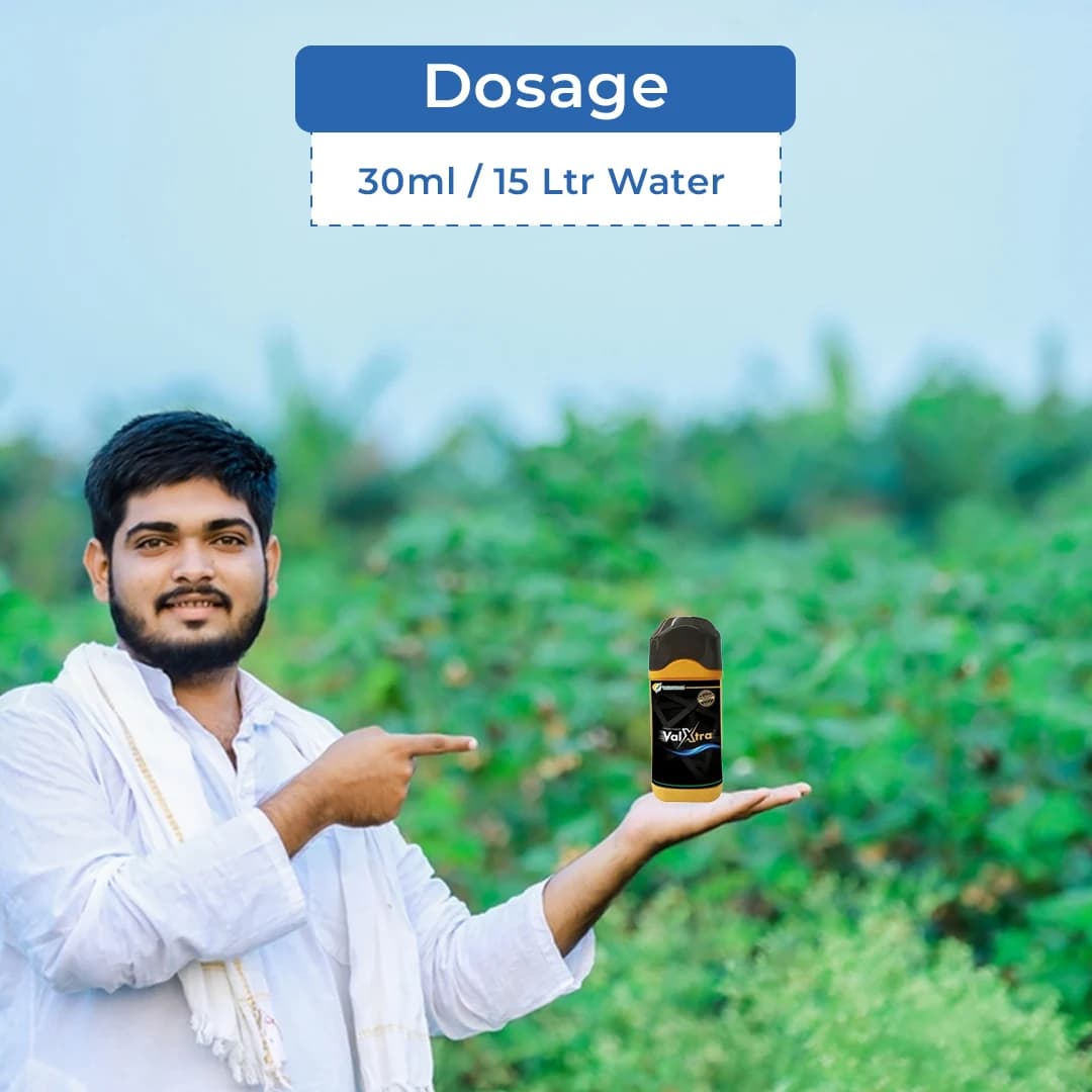 Willowood VALXTRA Hexaconazole 5% + Validamycin 2.5% SC, Best For Shealth Blight And Blast - Image 5