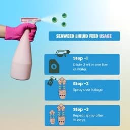 BloomBuddy Organic Seaweed Extract Liquid Fertilizer, Growth Promoter For Indoor & Outdoor Plants 7