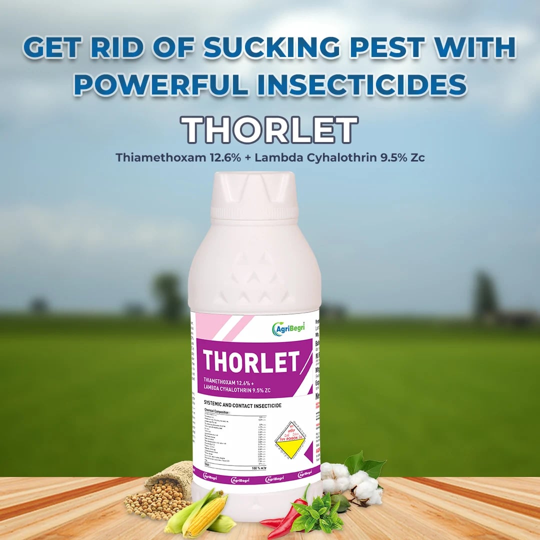 Thorlet Insecticide - Thiamethoxam 12.6% + Lambda Cyhalothrin 9.5% Zc