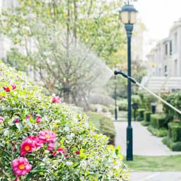 Balwaan SP-80B Li-Ion Garden Spray Pump, 12 Volt x 2.6 Amp Battery, 8 Ltr Tank Capacity, Suitable for Garden Pest Control and Agriculture 7