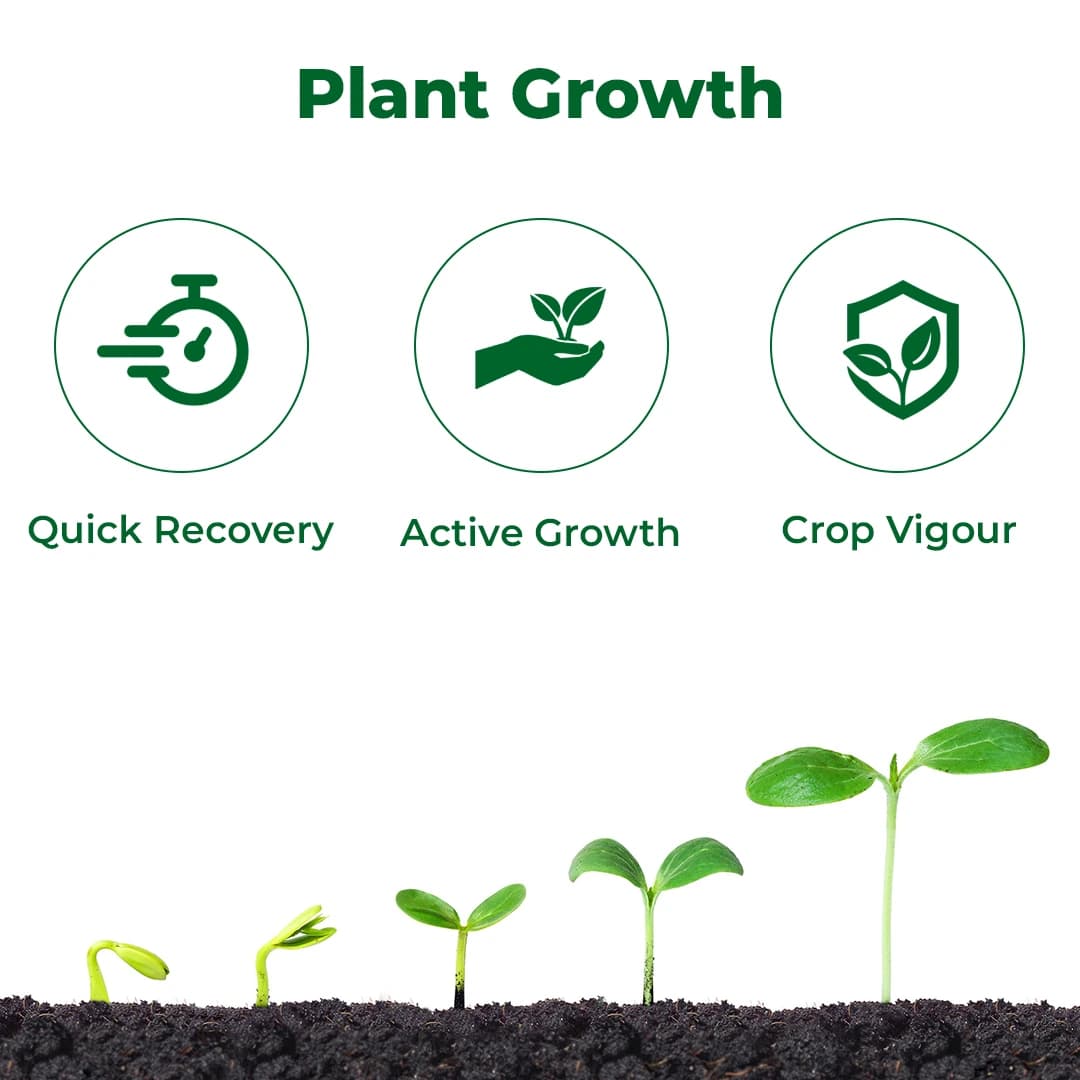 Exylon Zuruca Amino Acid & Vitamin Plant Growth Regulator, Bio-Stimulant for Growth & Stress Resistance For All Crops - Image 3