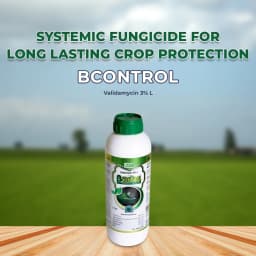 BACF Bcontrol Validamycin 3% L. Fungicide, Targets Paddy, all bacterial diseases and Sheath Blight, Non Systematic antibiotic with fungicide action 2