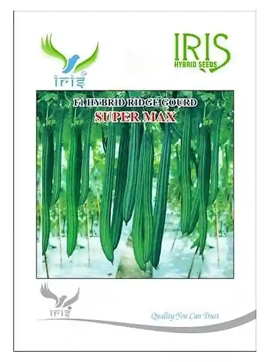 Iris Hybrid Vegetable Seeds F1 Hybrid Super Max Ridge Gourd , Attractive Green, Torai , Turai Ke Beej.