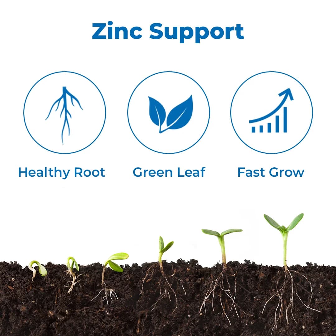 Aries Chelamin Plus Chelated Zinc EDTA Zn 12% Micronutrient Fertilizer Useful for Fulfil Zinc Deficiency. - Image 3