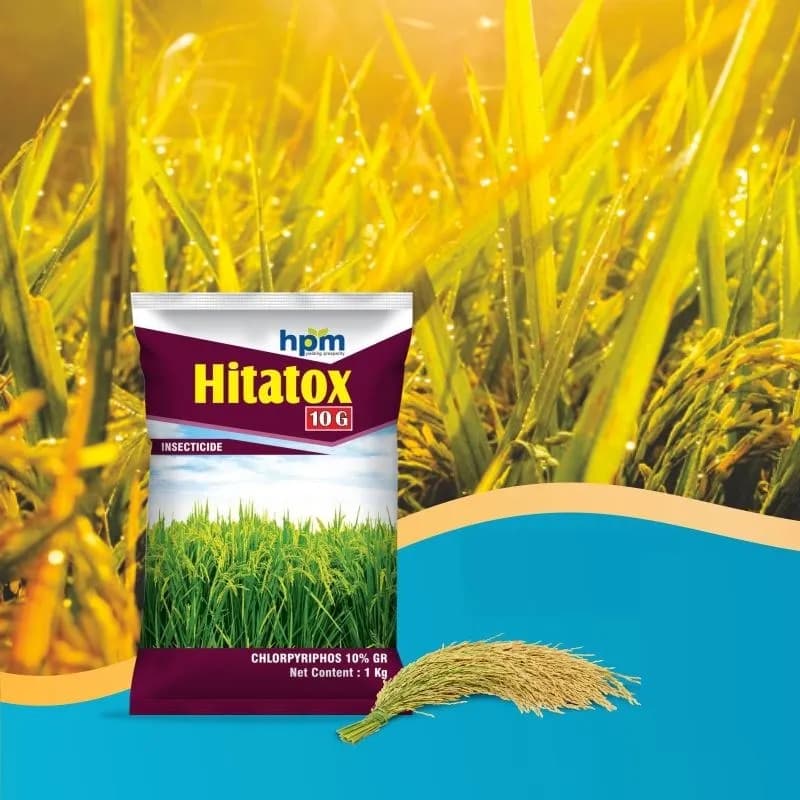 Hpm Hitatox 10G Chlorpyrifos 10% GR Insecticide, Non-Systemic, Effective For Rice Pest Control - Image 3