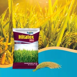 Hpm Hitatox 10G Chlorpyrifos 10% GR Insecticide, Non-Systemic, Effective For Rice Pest Control 3