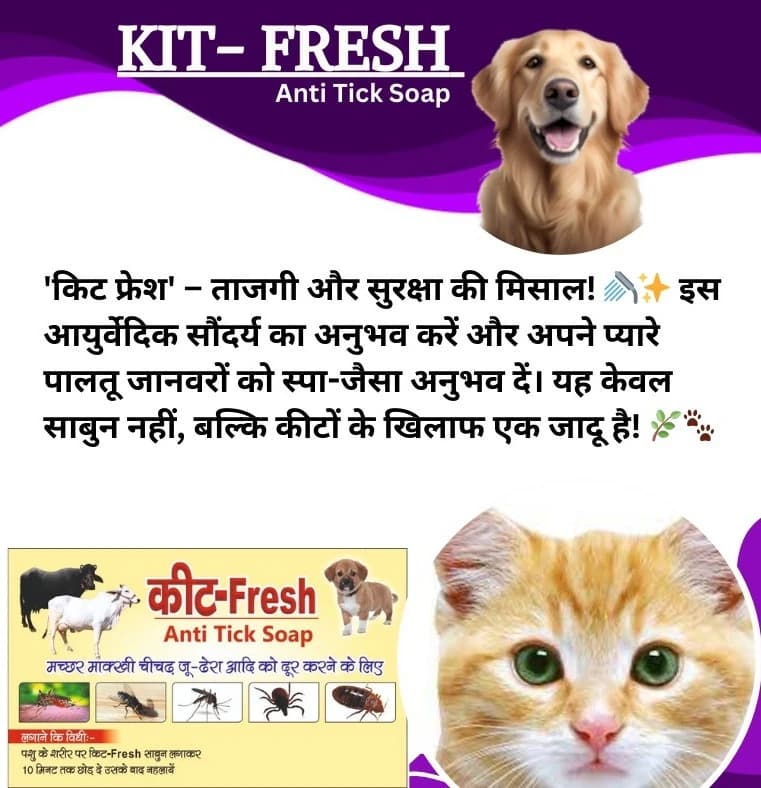 PASHU SVASTH KIT FRESH SOAP, Ayurvedic Pet Detergent And Natural Pest Repellent For Cattle And Happy Pets (75 Gm) - Image 5