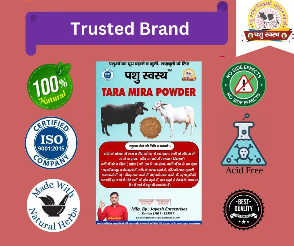 PASHU SVASTH TARA MIRA POWDER, Effective For Milk Production And Fat Increase In Dairy Cattle - Image 6