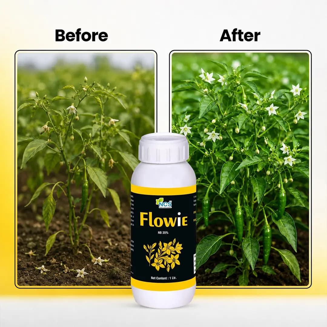 Flowie - Nitrobenzene 35% Fertilizer - Image 6