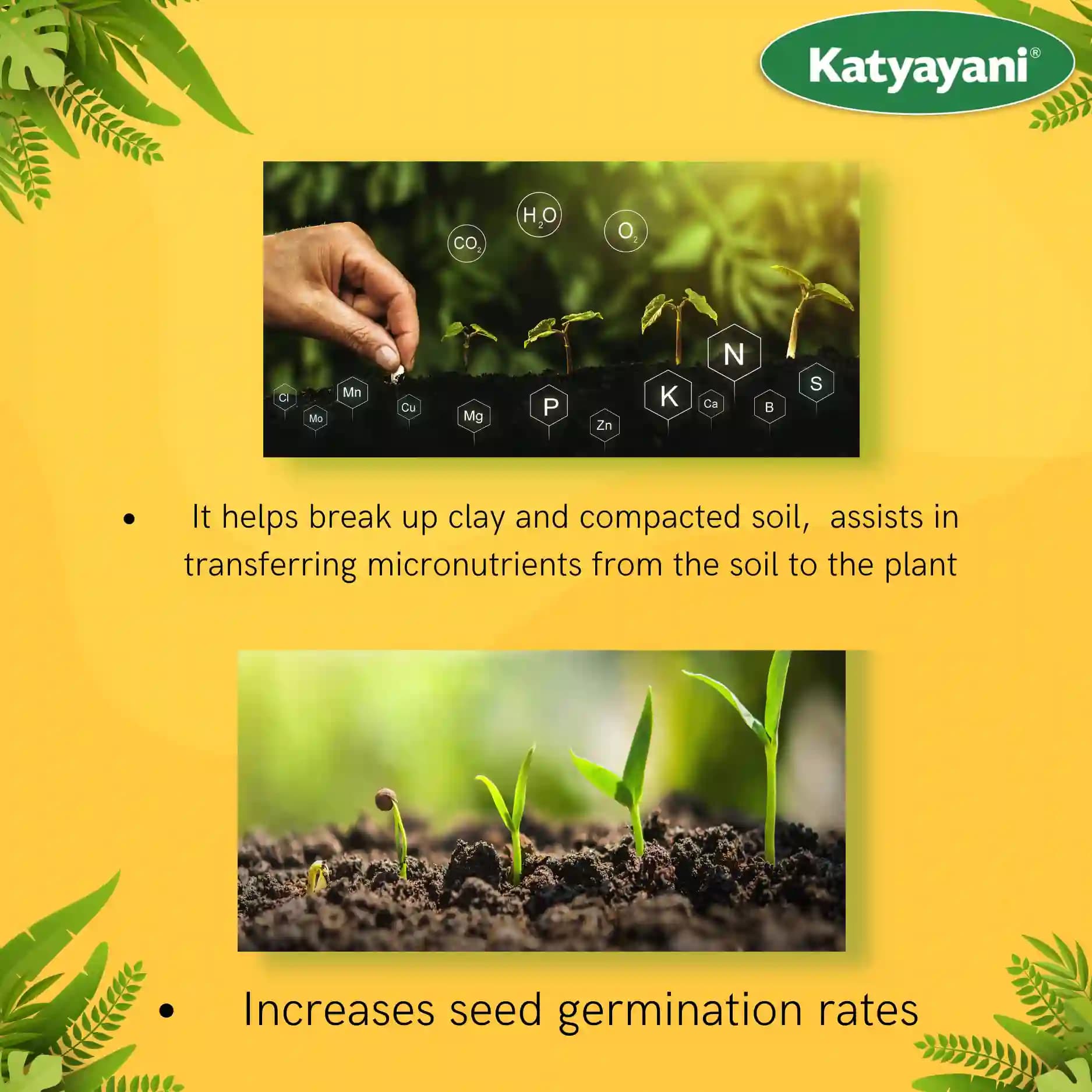 Katyayani Enriched Vermicompost Fertilizer, Premium Organic Compost For Enhanced Soil Health and Boost Crop Growth - Image 6