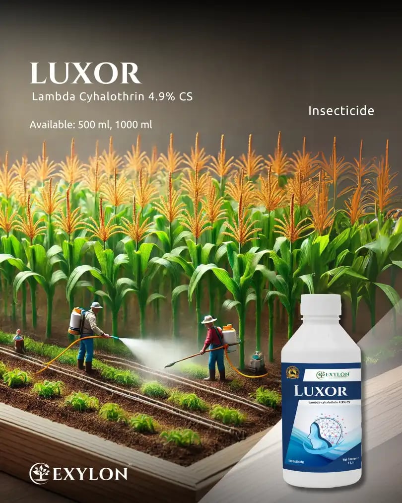 Exylon Luxor Insecticide - Lambda Cyhalothrin 4.9% CS