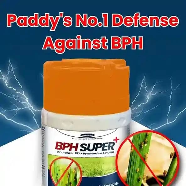 Katyayani BPH Super Plus Dinotefuran 15% + Pymetrozine 45% WG Insecticides, For Effective Rice Pest Protection - Image 2