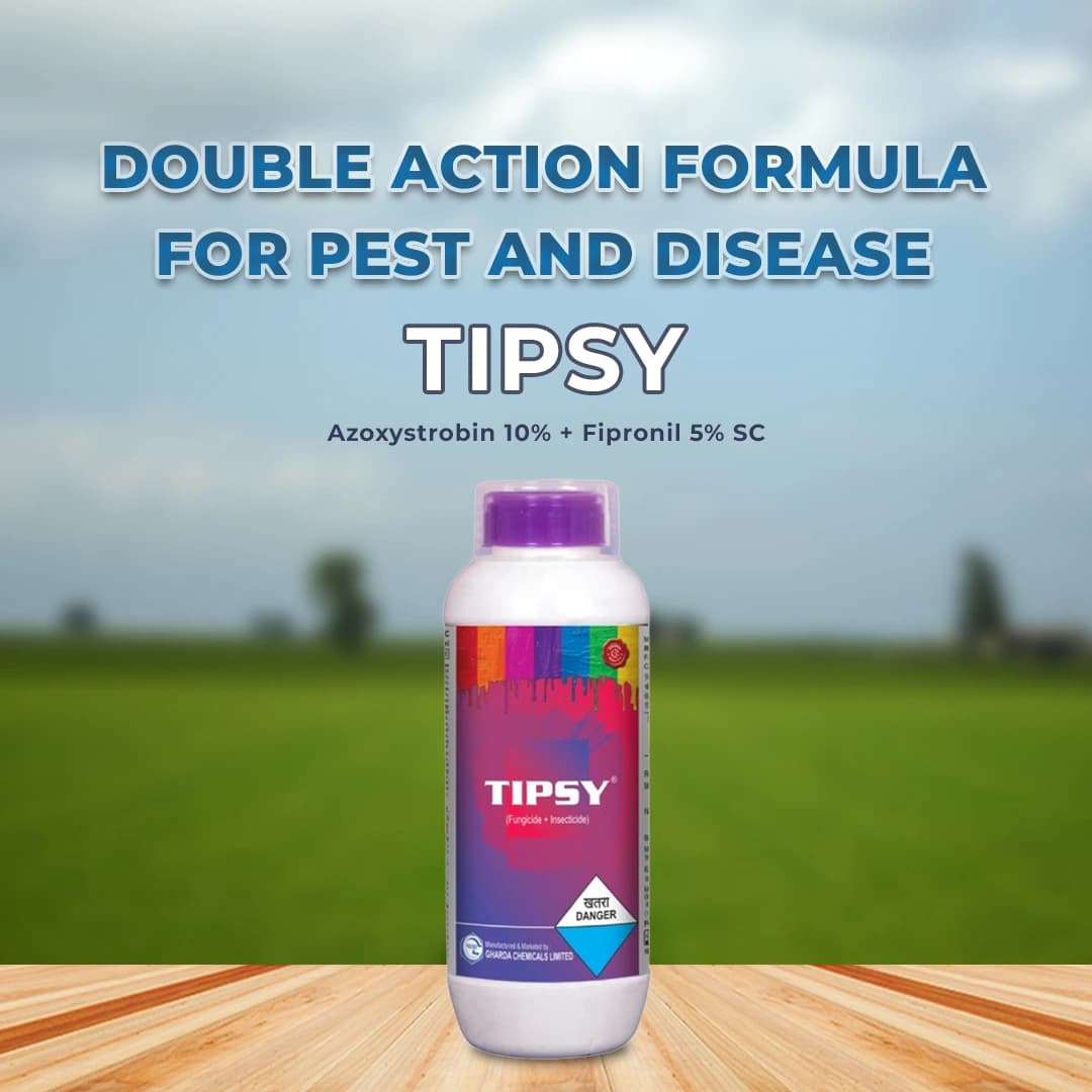 Gharda Tipsy Azoxystrobin 10% + Fipronil 5% Sc Fungicide + Insecticide. Used for Control Fruit Borer, Powdery Mildew, Sheath Blight, Plant Hopper etc. - Image 2