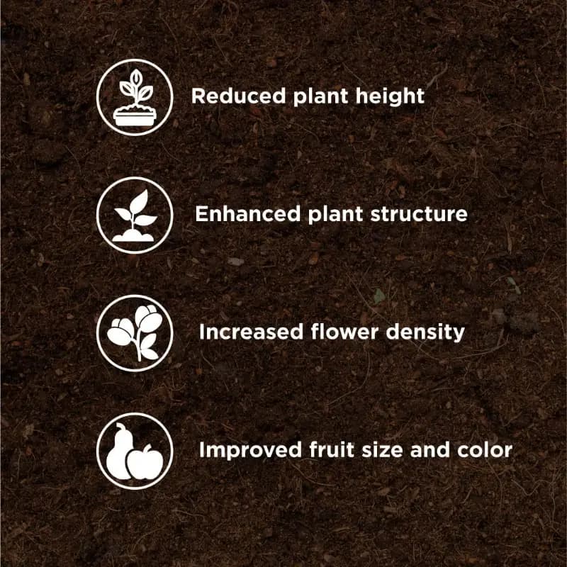 Titan Agritech PEP STAR 40 Paclobutrazol 40% SC Plant Growth Regulator, Effective For Mango And Fruit Trees - Image 9