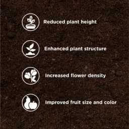 Titan Agritech PEP STAR 40 Paclobutrazol 40% SC Plant Growth Regulator, Effective For Mango And Fruit Trees 9