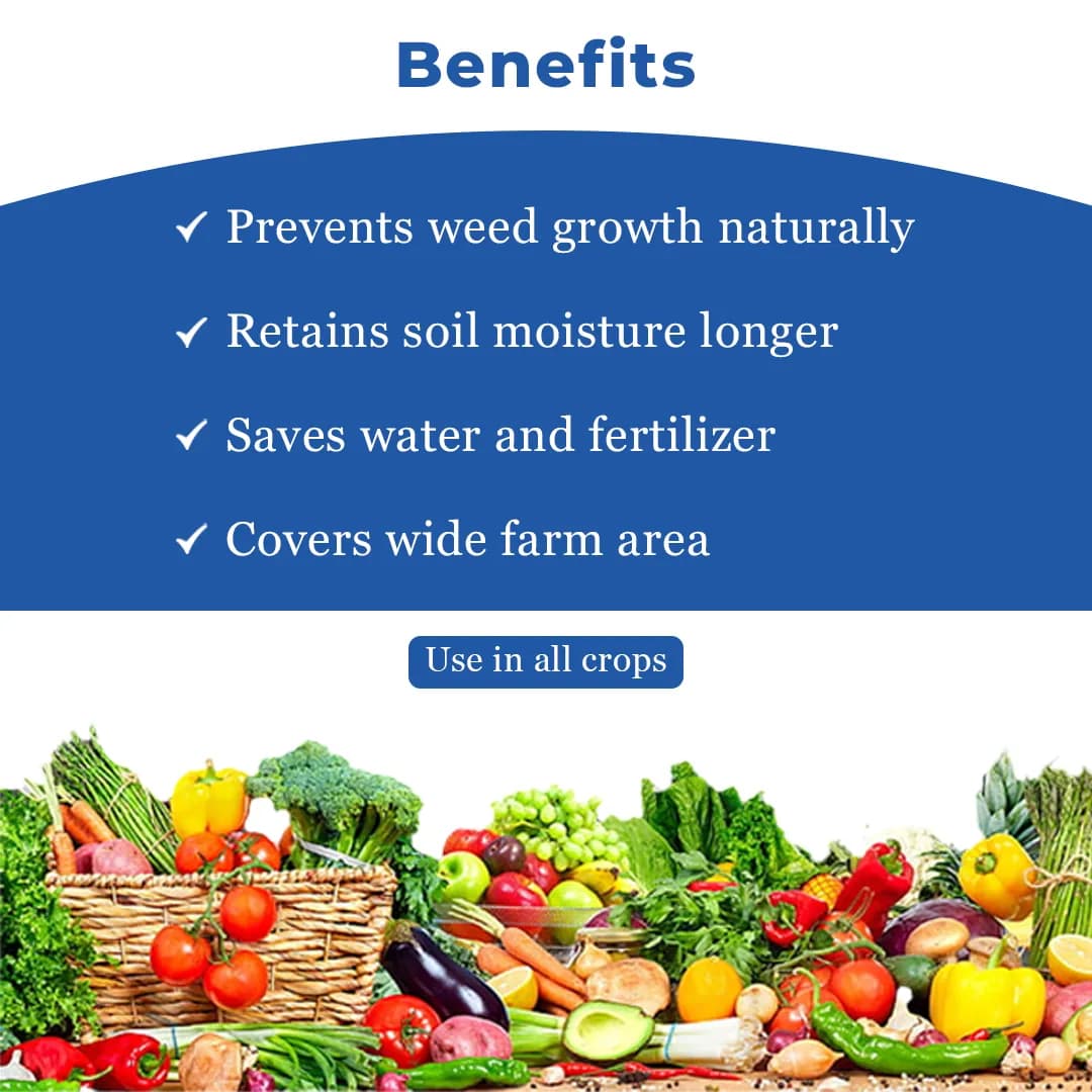 Global Polyplast Mulching Paper (1.2M x 400M) Roll - Image 4