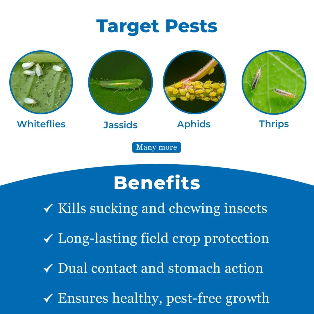 Dhanuka Pager Diafenthiuron 50% WP Insecticide, Broad Spectrum, Effective For Whiteflies, Aphids, Thrips, Jassids, Mites and Other Sucking Pests - Image 3