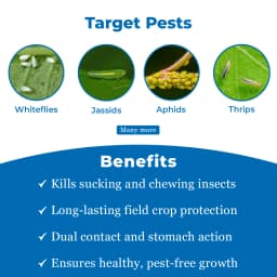 Dhanuka Pager Diafenthiuron 50% WP Insecticide, Broad Spectrum, Effective For Whiteflies, Aphids, Thrips, Jassids, Mites and Other Sucking Pests 3