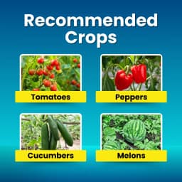 Katyayani Silica Pro Natural Granulated Silica, Organic Fertilizer, Best Solution For Gardening 4