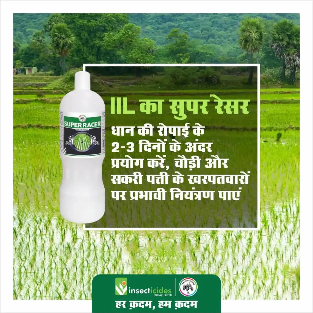 IIL SUPER RACER Pretilachlor 37% EW Herbicide, Pre-Emergence - Image 2