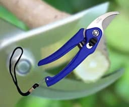 Garden Shears Pruners Scissor (Multicolor) Pruner 8 Inc, With Safety Lock, Durable And Long Lasting Material 3