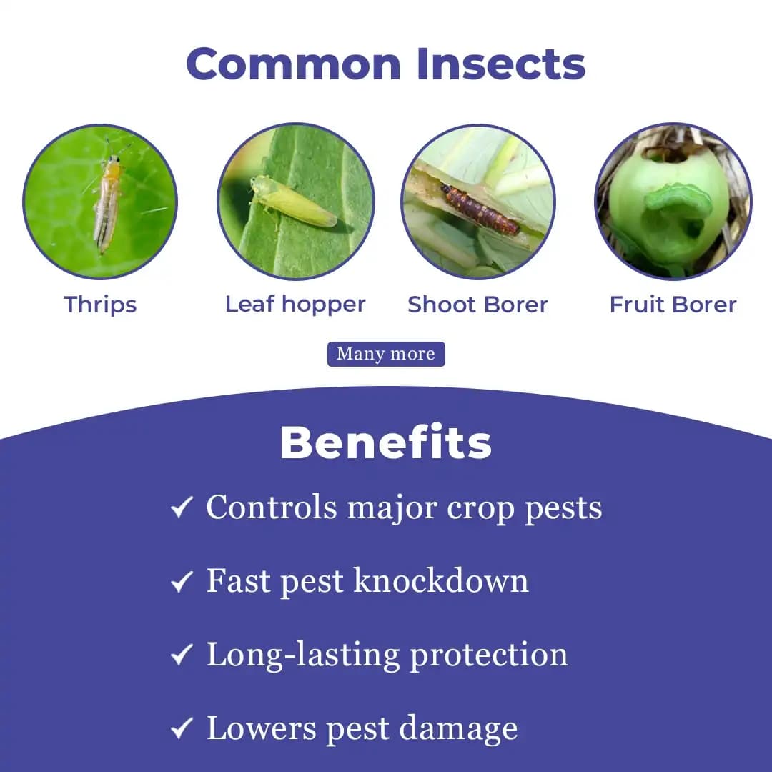 Godrej Gracia Fluxametamide 10% EC, Novel Insecticides Broad Spectrum, Best For All Crops. - Image 3